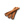 Cinnamon.png