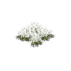 Parterrefleuricumin2.png