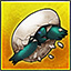 PercerLaCarapace.jpeg