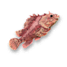 Rockfish.png