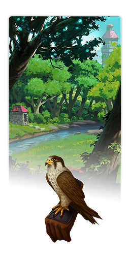 Collector Pack 8 years.png