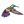 HummingbirdBi.png