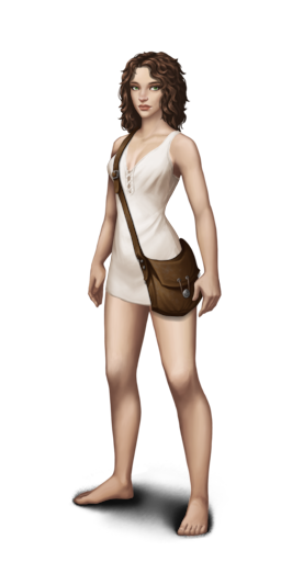Adventurer's bagF.png