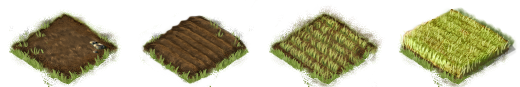 BarleyField.png