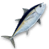 Tuna.png
