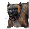 Bullenbeißer.png