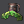 Tarkans.gif