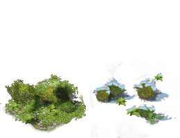 BigThicket of greed.png