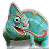 Chameleon.png