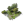 Grove of pride.png