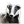 Thumbnail for version as of 15:48, 31 August 2023
