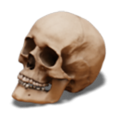 Thumbnail for version as of 00:36, 19 November 2024