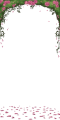 Thumbnail for version as of 23:18, 11 February 2025