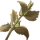 GdCIngredient12.png