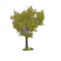 Thumbnail for version as of 20:43, 26 October 2021