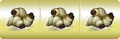 Thumbnail for version as of 18:58, 26 October 2021